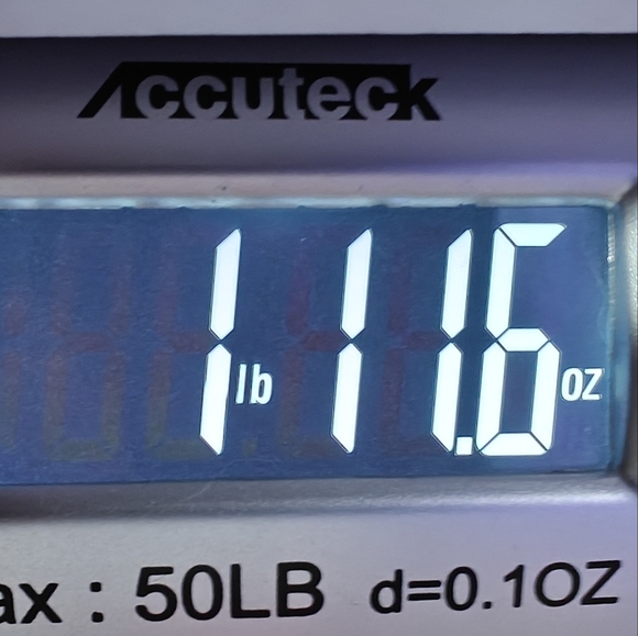 Liz Claiborne Flare Dress Size 14 Empire Waist NWT Diamond Polka Dots Flowy - Picture 5 of 5